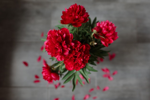 USA-Flowers-Carnations