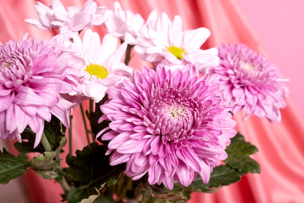 USA-Flowers-Chrysanthemums