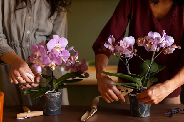 USA-Flowers-Orchids