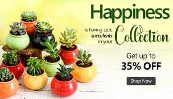 Advertisement 8