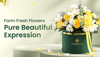 Advertisement 10